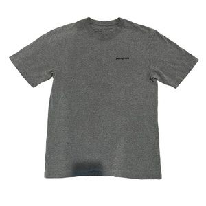 Patagonia T-shirt, Size S, Gray